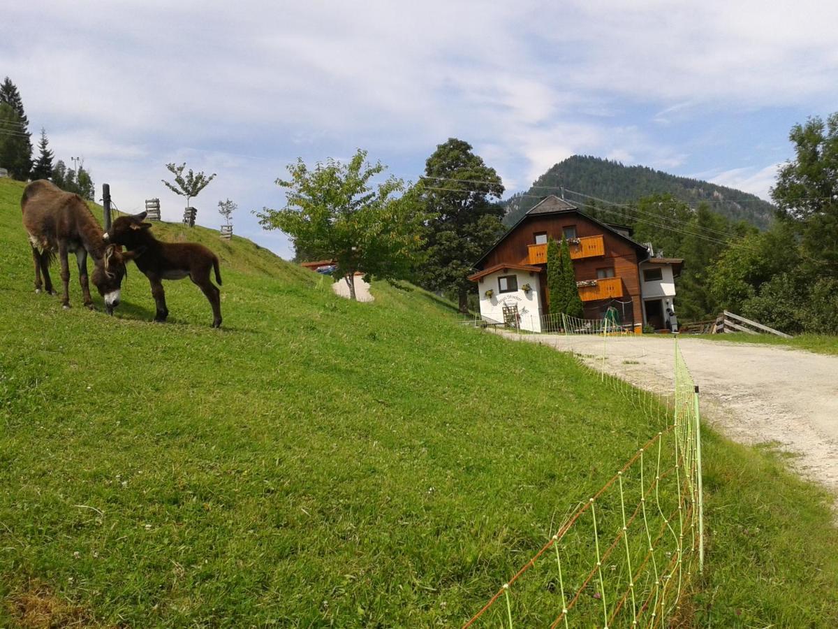 Stallhaeusl Schladming Exterior photo